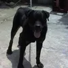 3masterkry3