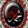 alihamza46348