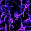 thehourofdreamswillcome8