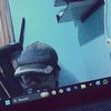 traseet