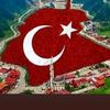 @zalimin 🙋‍♂️oğlu tek