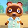 canadiantomnook
