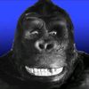 king.kong4049