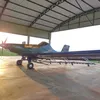 Glaucyone Silva