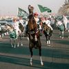 نواف الرمالي🐎🤎 .