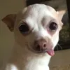 huesawspxinh