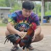 nuttapong85