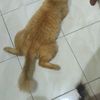 ojackkkkkkk