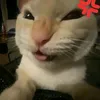 weljaylver