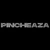 pincheaza