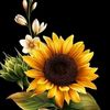 guadalupeflores147