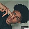 f1_shady