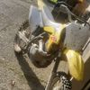 tane_4533