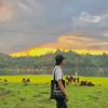 .dian.02