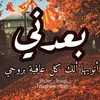 zainp881