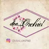 Dee Orchid Malang
