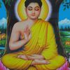 rajutamang082