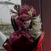 alexandrabogdan50