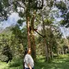 girsang120_