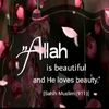 user265372198jj