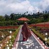 dian.marliani
