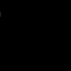 vnski00