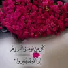 user042314321
