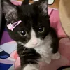 swimming_lessons_for_reg