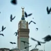 mohammedmansour724