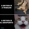 debbiefine7