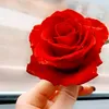 narminrafi1