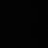 33_bear
