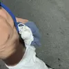 meramell
