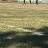 hcob_10