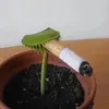 louki_17