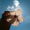 sky_aroyals