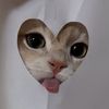 cccspilluvss