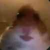 nene11111110
