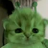 kiti761