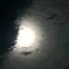 justseanig_