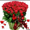 shaheen786920