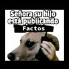 0jorgerosas