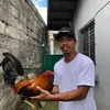 ravenferreras