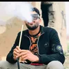 user499830831