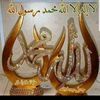 anis_1252