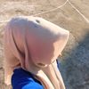 selpihhhhhhh