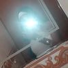 liz_z011