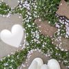 anna_stassia1