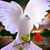 user193310458