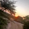 vanessalimadasilv5